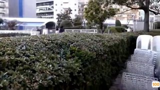 河北富二代峰哥和大学生校花女友酒店开房各种姿势草